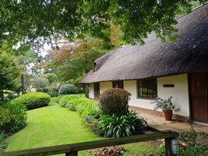 4 Bedroom House in Nottingham Road