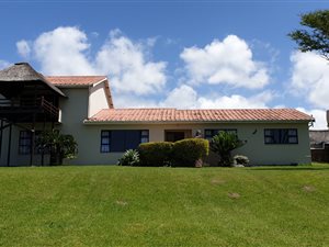 1.6 ha Farm in Glen Eden