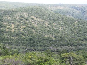 14.5 ha Farm in Kwelera