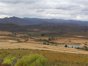 442 ha Farm in Montagu