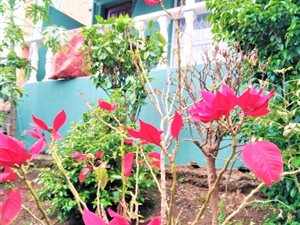 3 Bed Townhouse in Newlands East