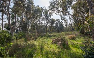 9276 m² Land available in High Riding Country Estate