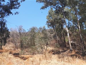 1.1 ha Land available in Meredale