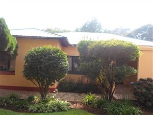 3 Bed House in Malvern East