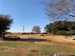 21 ha Farm in Middelburg Central