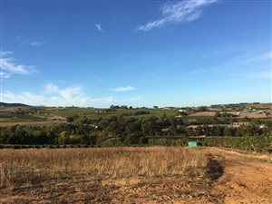 1 ha Farm in Stellenbosch Agricultural