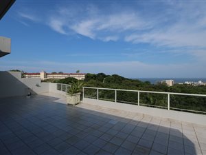 3 Bed Apartment in Willard Beach