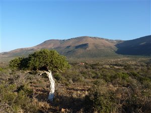 1055 ha Farm in Graaff Reinet