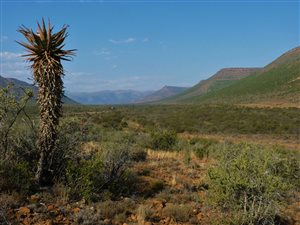 1055 m² Farm in Graaff Reinet