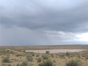 3673 ha Farm in Williston