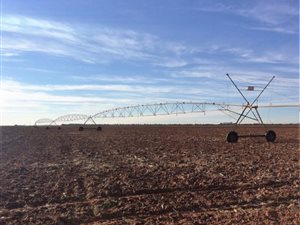 Farm in Dealesville