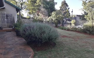 3 Bedroom House in Wilro Park