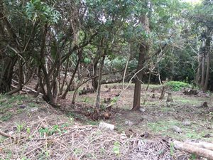 1780 m² Land available in Glenmore