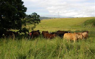 257 ha Farm in Pietermaritzburg Central