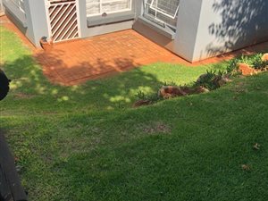 2 Bed Apartment in Westdene