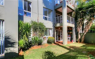 3 Bedroom Apartment in Fairmount