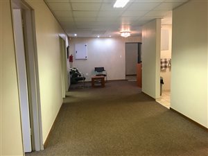 233 m² Office Space in Briardene