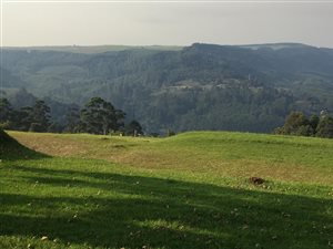2.9 ha Land available in Worlds View