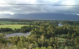 95 ha Farm in Swellendam