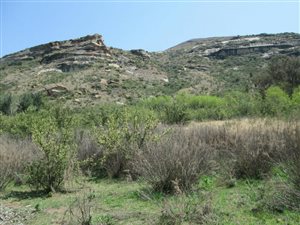 1686 m² Land available in Clarens