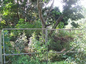 4660 m² Land available in Hillcrest Central