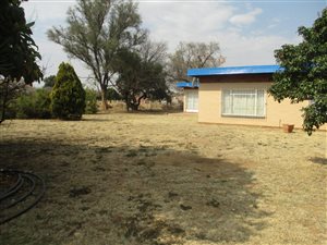 2.6 ha Farm in Homelands