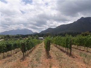 594 m² Land available in La Pastorale