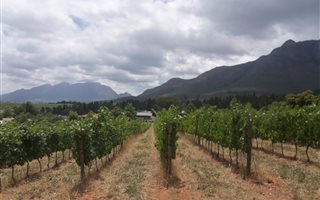 594 m² Land available in La Pastorale
