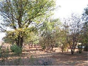 21 ha Farm in Rustenburg Central