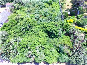1030 m² Land available in Ballito