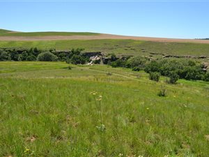 2000 m² Land available in Kamberg