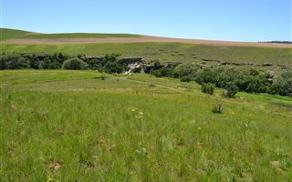2000 m² Land available in Kamberg