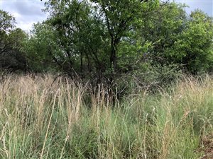 772 ha Farm in Zeerust