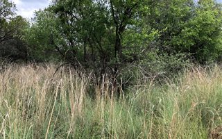 772 ha Farm in Zeerust