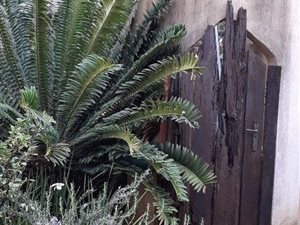 2 Bed Apartment in Rietondale
