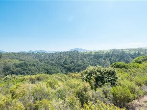 1123 m² Land available in Oubaai and surrounds