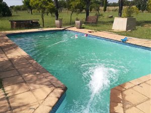 8 ha Farm in Onderstepoort