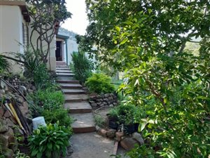 8 ha Smallholding in Greytown
