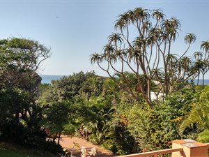 4 Bed House in Zinkwazi Beach