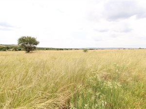 248 ha Farm in Klerksdorp
