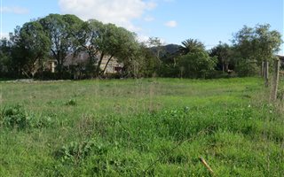 553 m² Land available in Napier