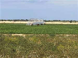 480 ha Farm in Roedtan