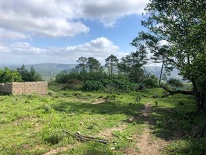 2186 m² Land available in Grahamstown Central