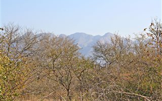 4300 m² Land available in Blyde Wildlife Estate