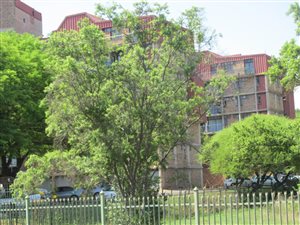 2 Bed Apartment in Kilner Park