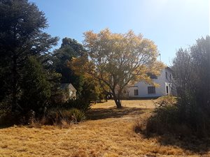 24.9 ha Farm in Lanseria and surrounds
