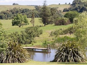 4 ha Farm in Balgowan