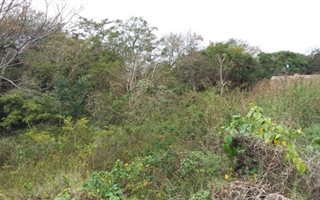 2017 m² Land available in Umhlatuzana