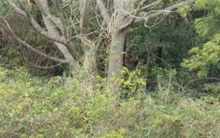 2017 m² Land available in Umhlatuzana