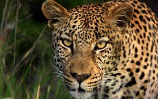3962 m² Land available in Malelane